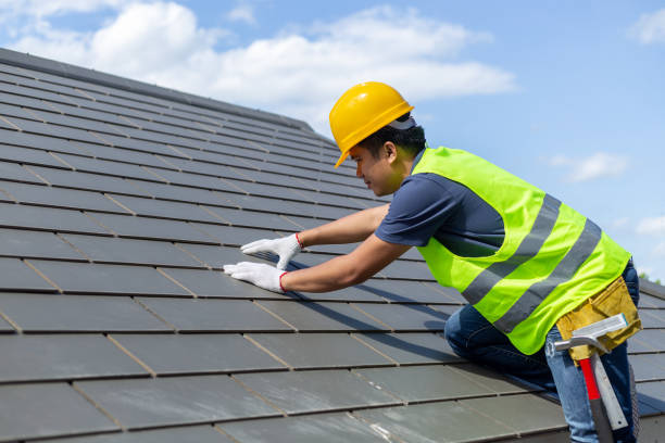 Best Roof Moss and Algae Removal  in Loudonville, OH
